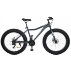 Profi AVENGER 26" (EB26AVENGER 1.0 S26.2)
